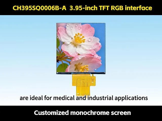 &Eacute;cran TFT 3,95"