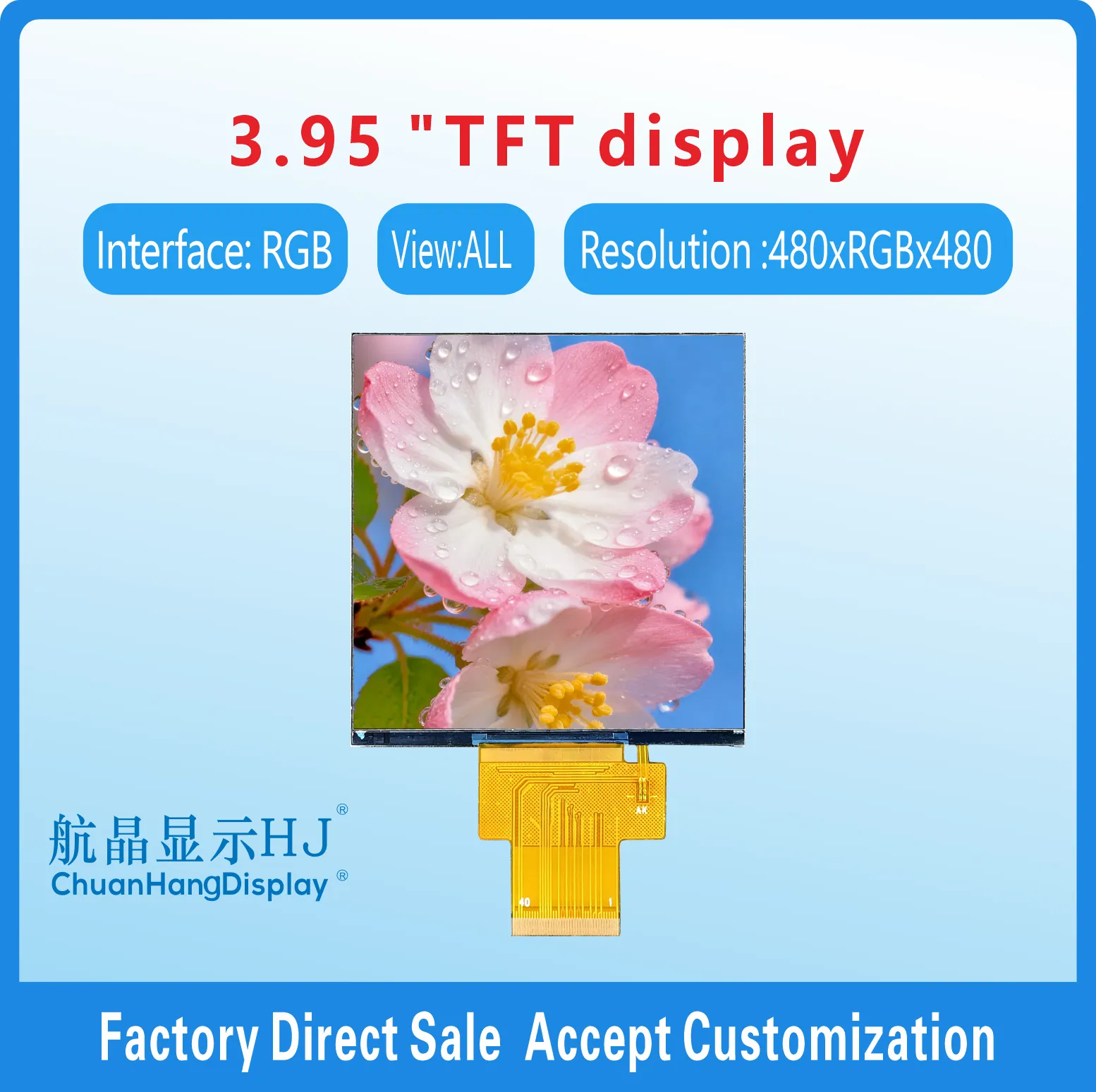 &Eacute;cran TFT 3,95"