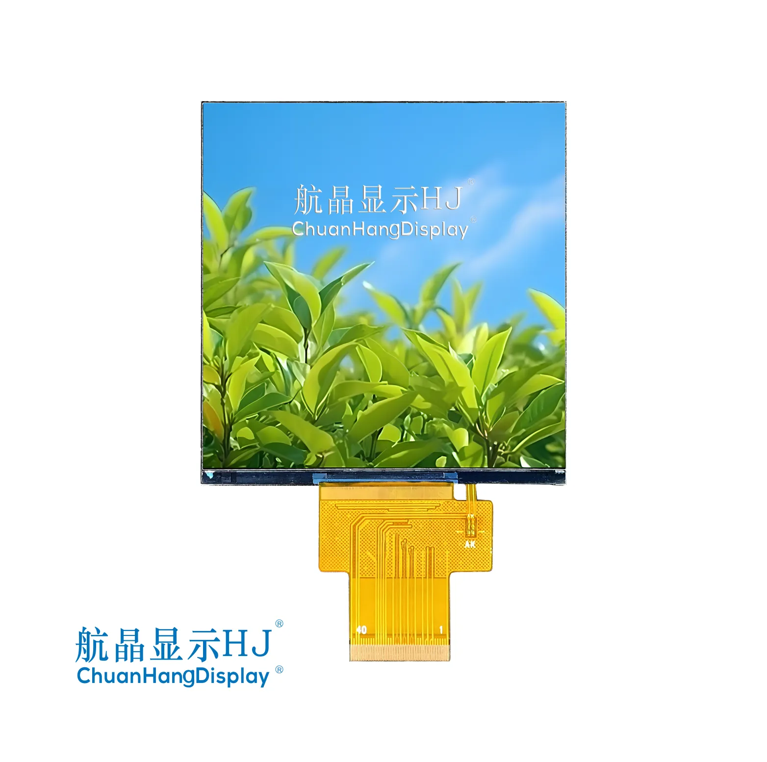 3,95" TFT-Display