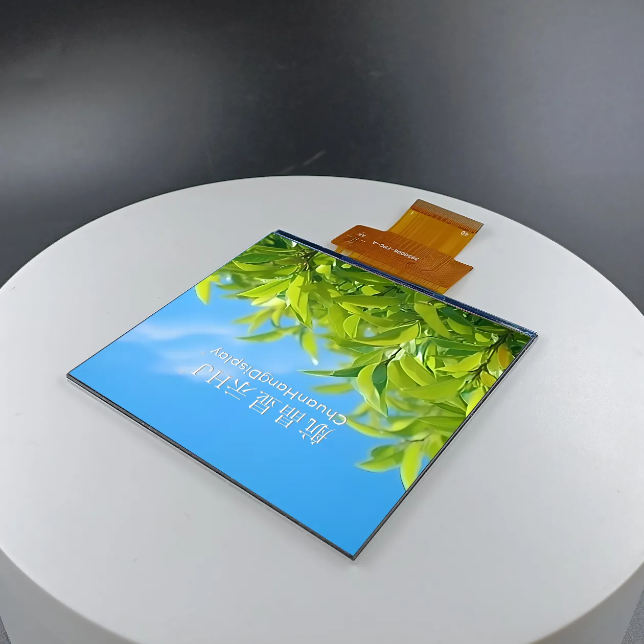 &Eacute;cran TFT 3,95"
