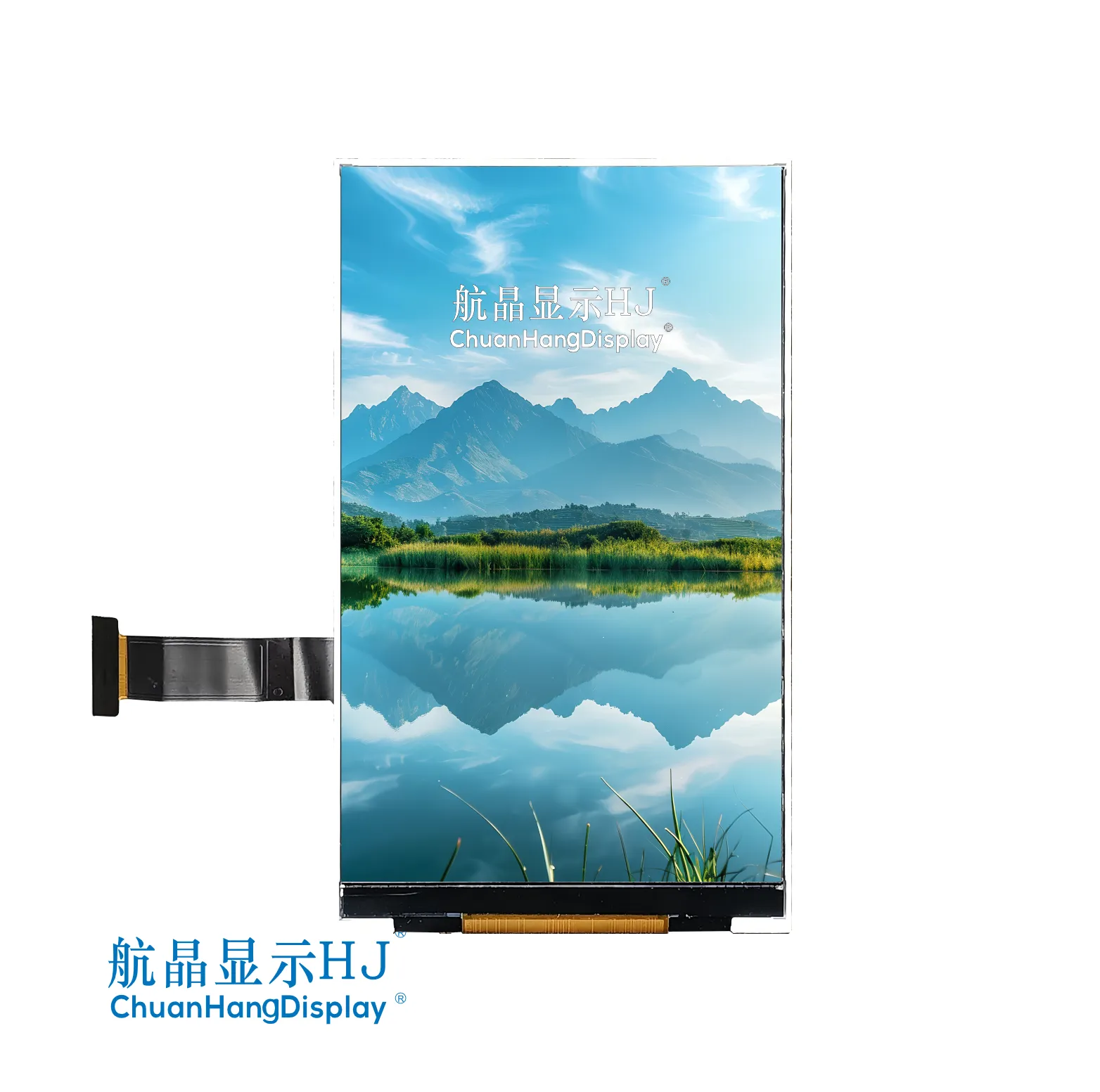 IPS 3,97 Zoll TFT