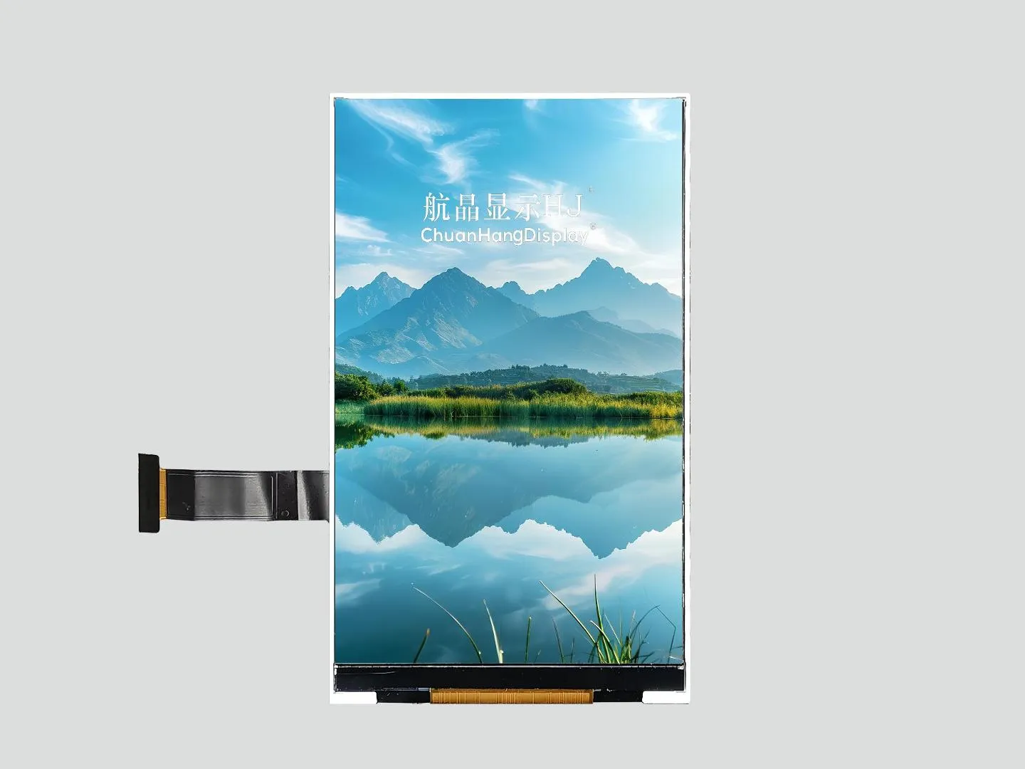 IPS 3,97 Zoll TFT