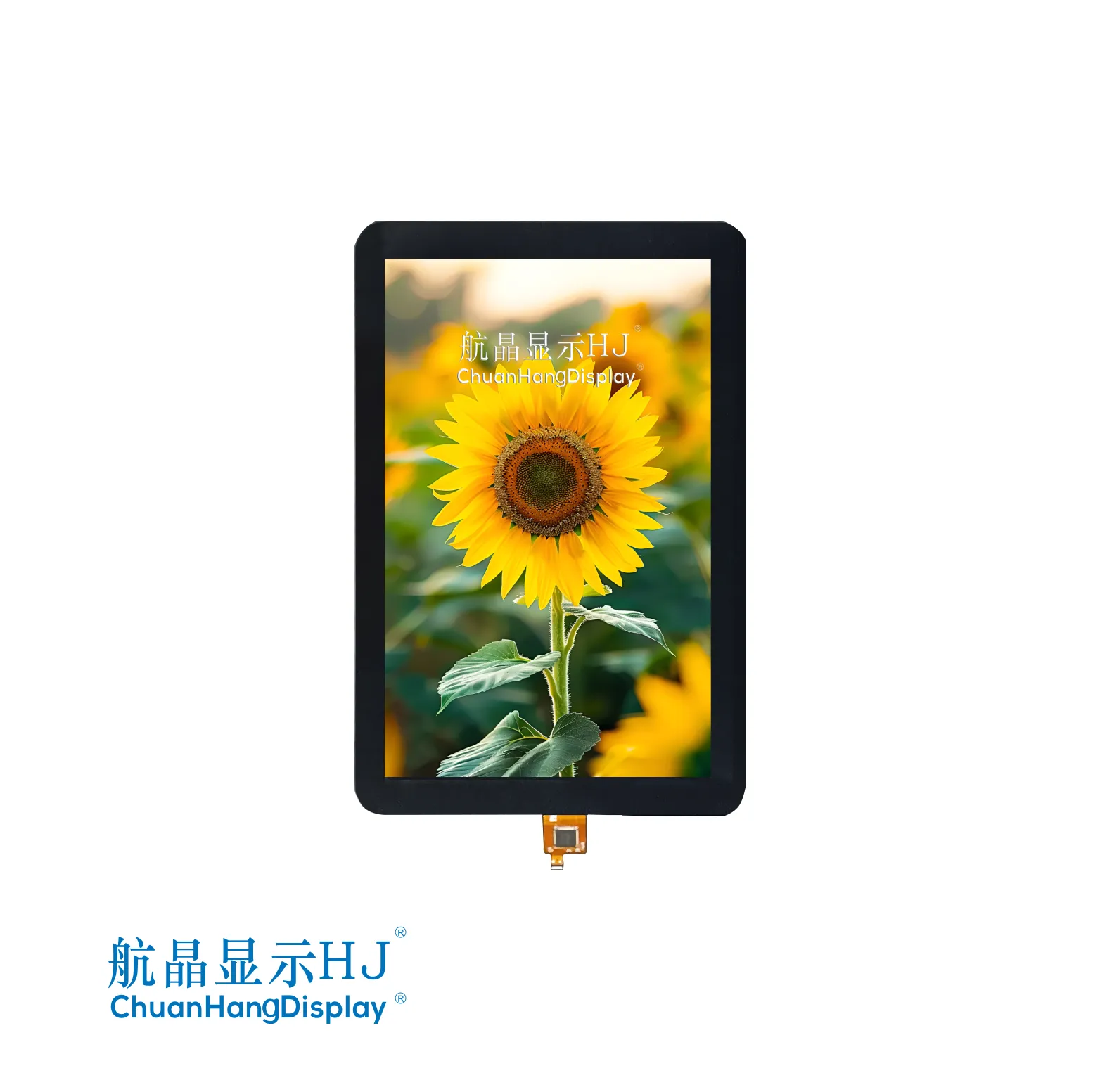 8"TFT-Display