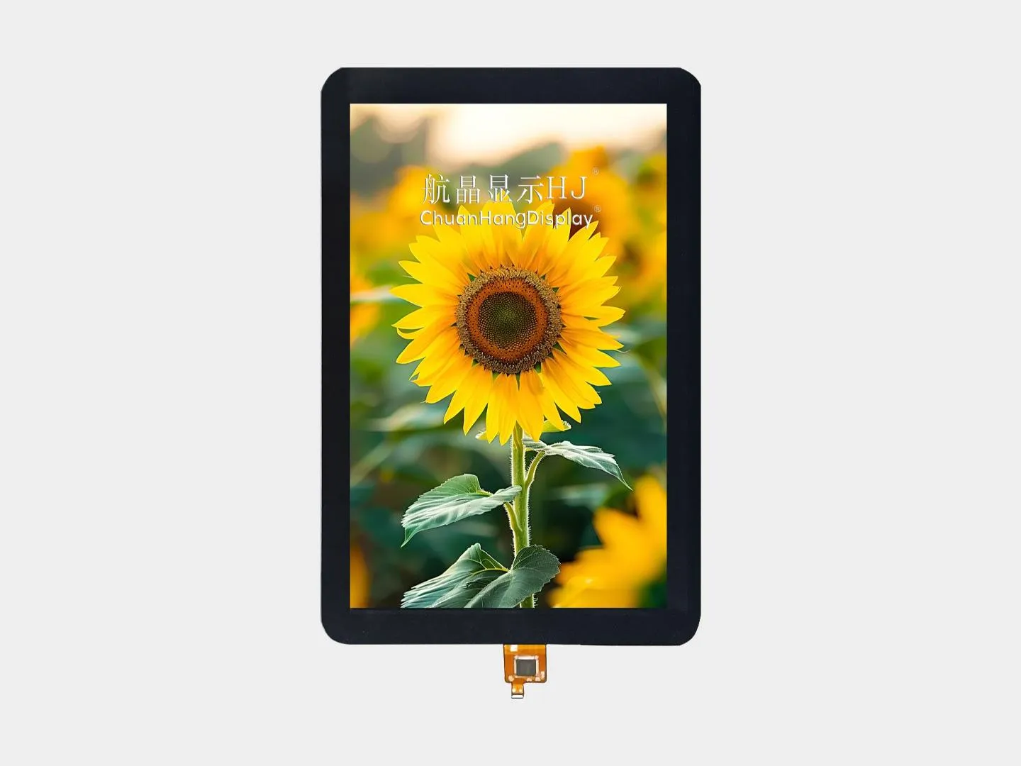 8"TFT-Display