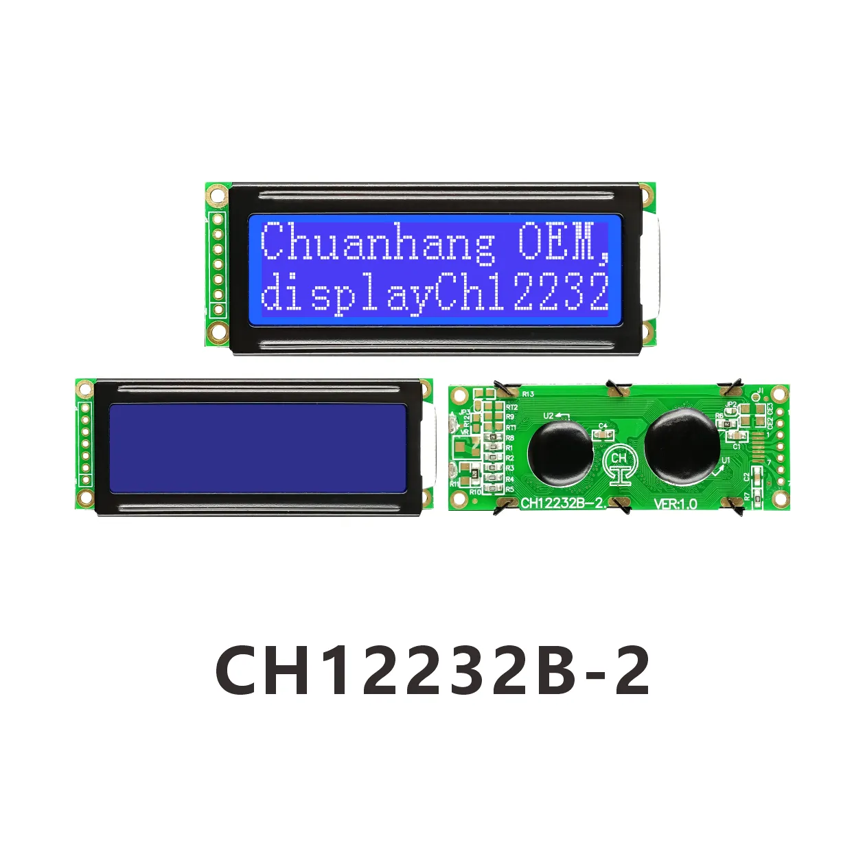 CH12232B-2 Module d'affichage LCD monochrome