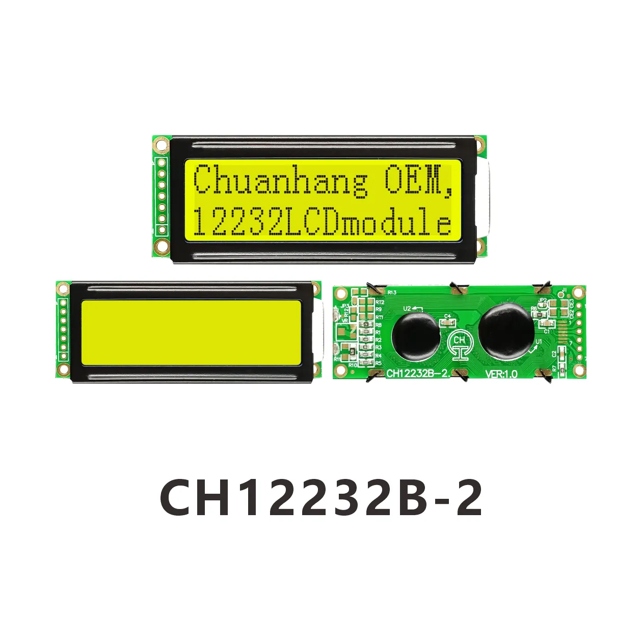 CH12232B-2 Module d'affichage LCD monochrome