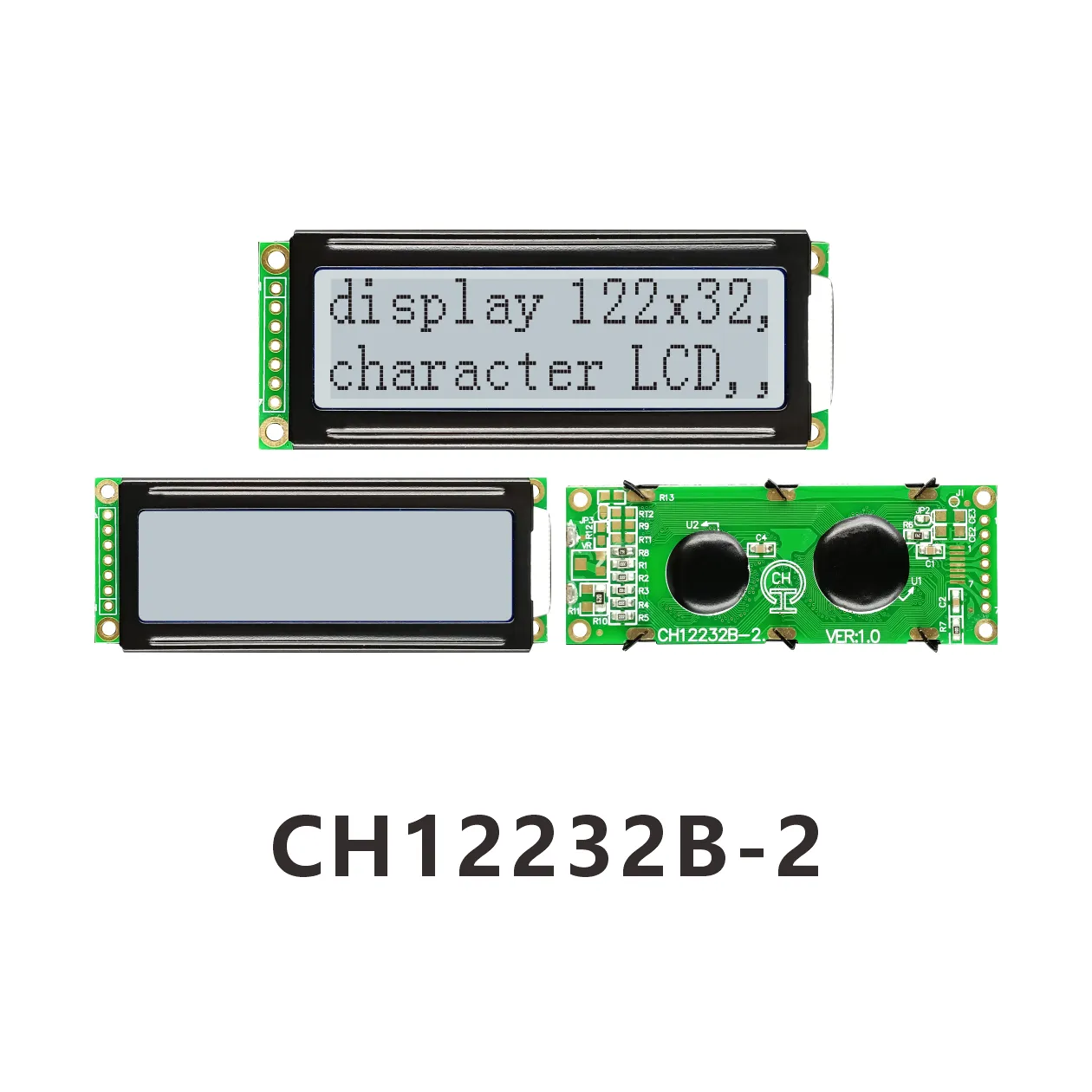 CH12232B-2 Module d'affichage LCD monochrome