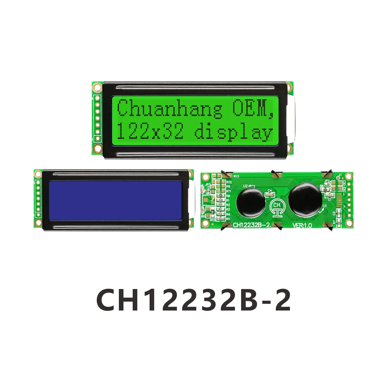 CH12232B-2 Monochromes LCD-Displaymodul