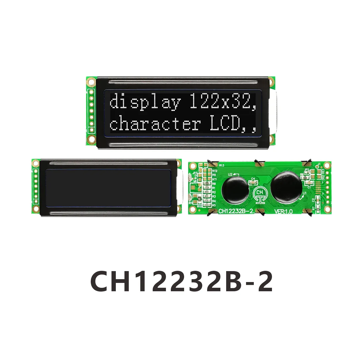 CH12232B-2 Module d'affichage LCD monochrome