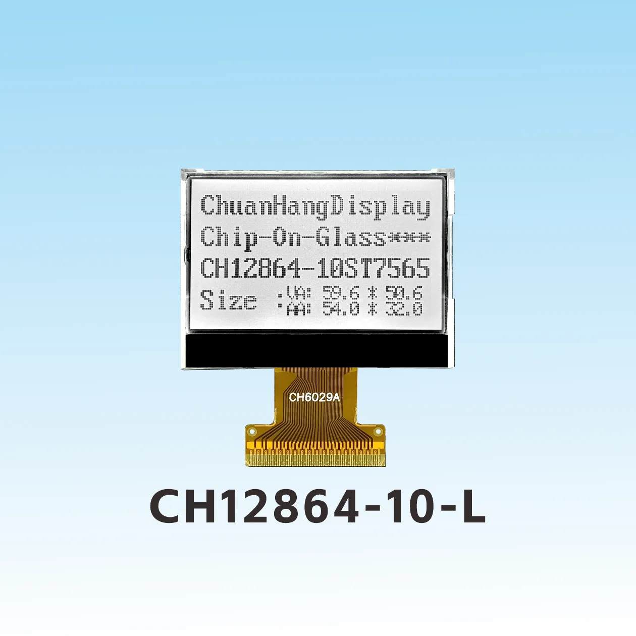 CH12864-10-L