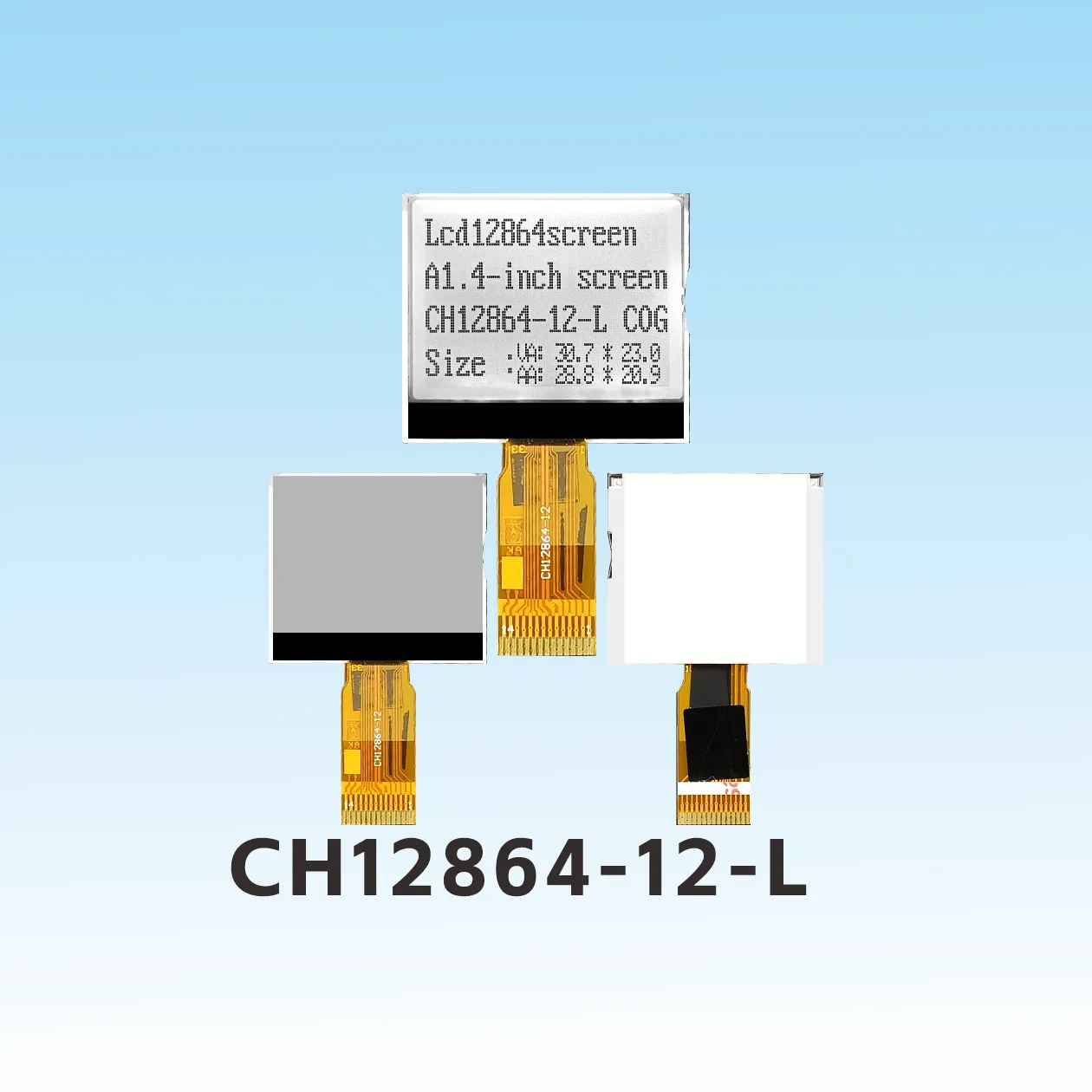CH12864-12- L    LCD 12864 Spezifikationen