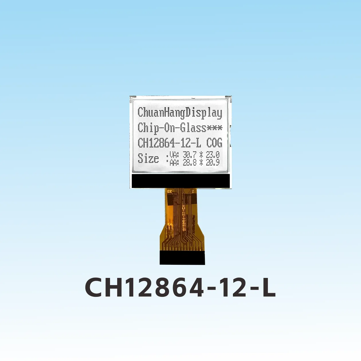 CH12864-12- L