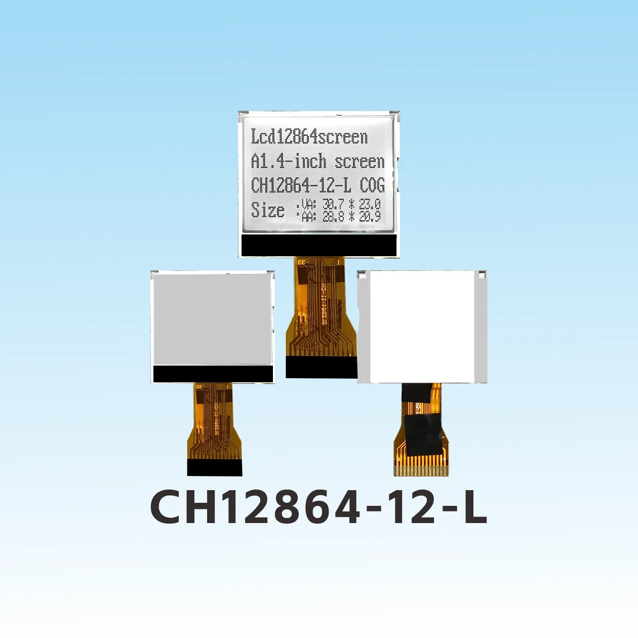 CH12864-12- L