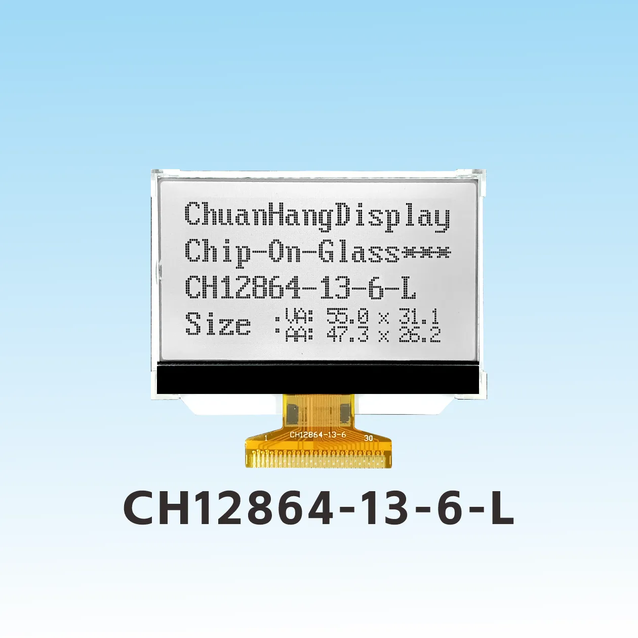 CH12864-13-6-L   128 x 64 anciens mod&egrave;les