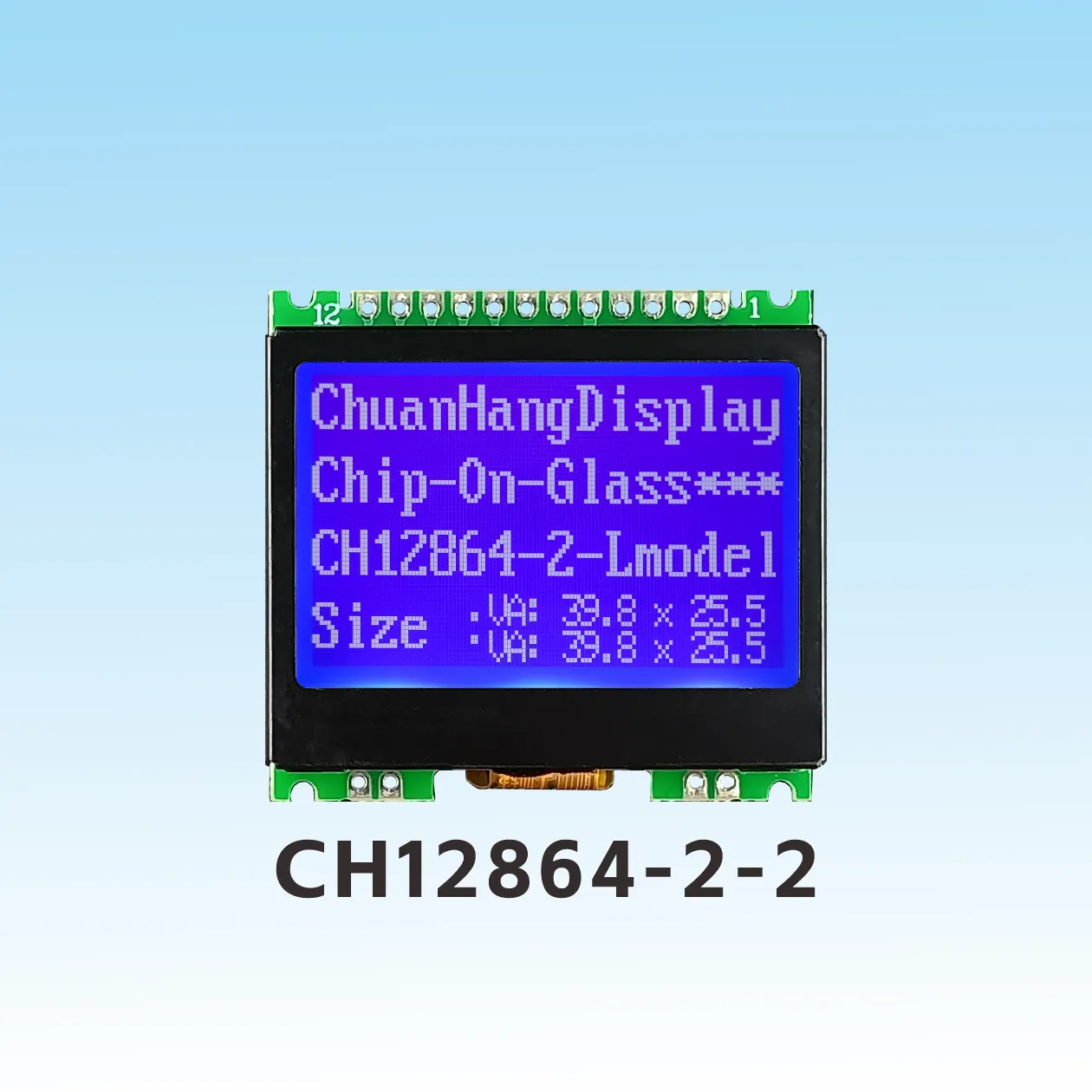 CH12864-2-2 LCD COG 12864