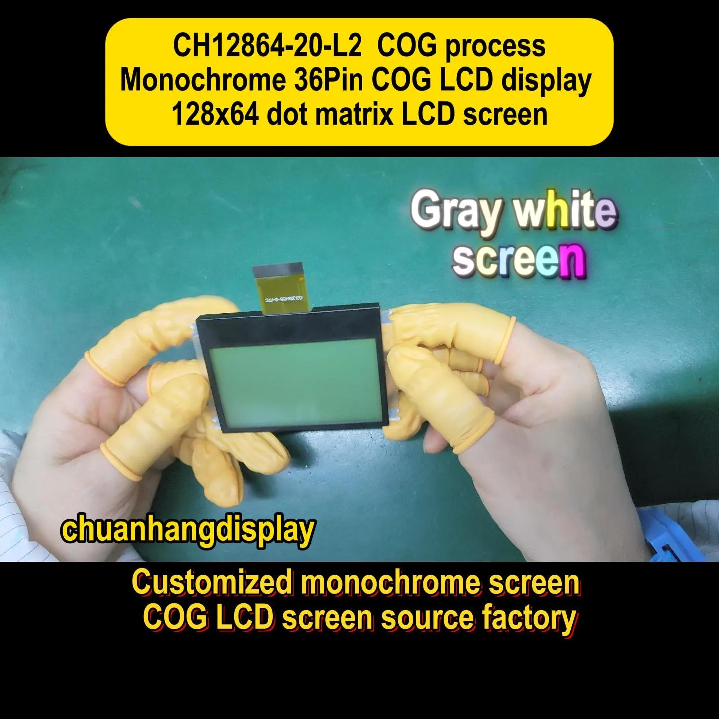 CH12864-20-L2   Module LCD COG 12864