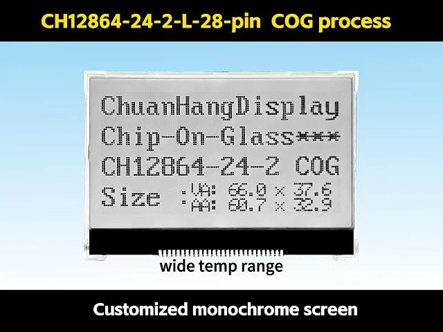 CH12864-24-2- L Schwei&szlig;stift 128x64 LCD Mono COG
