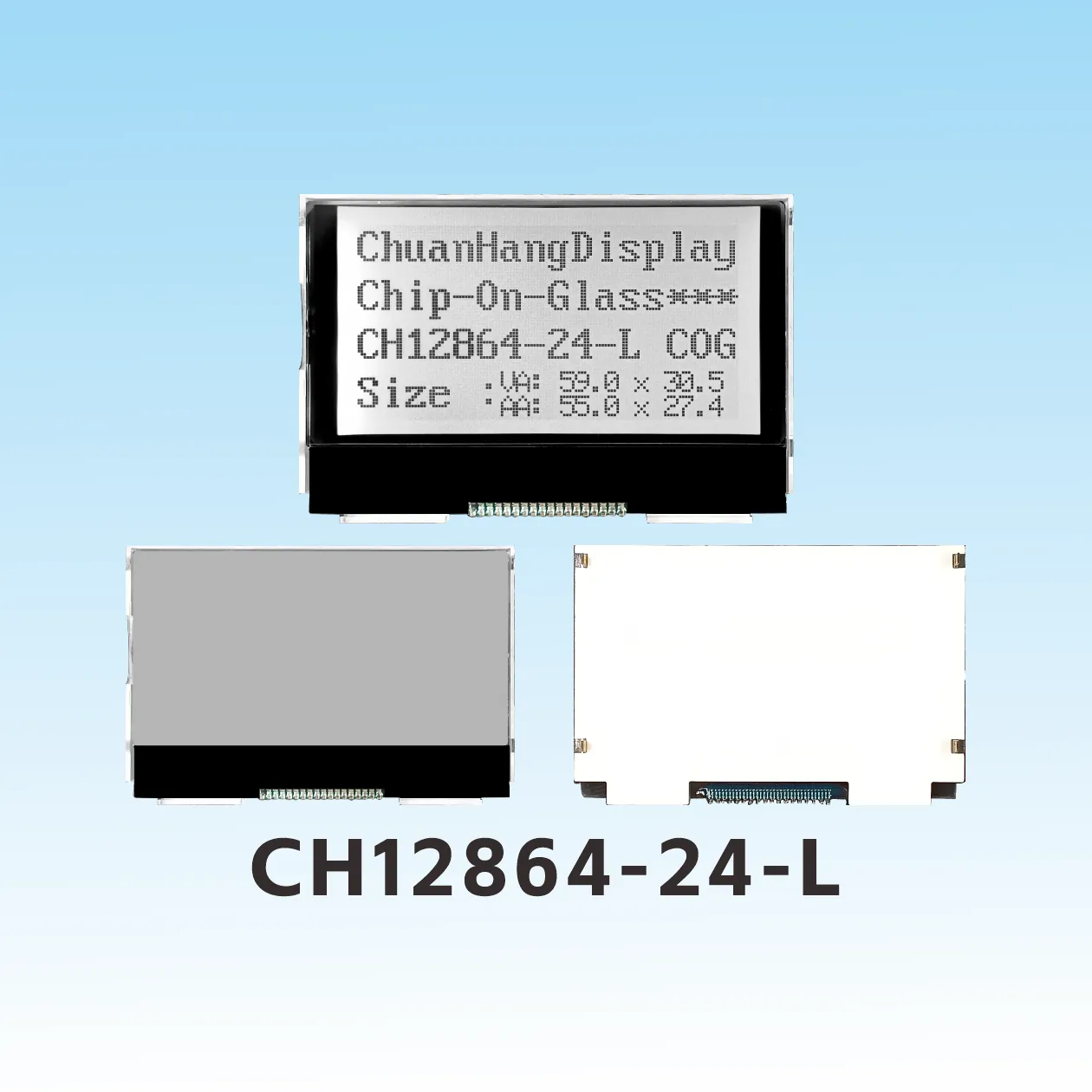CH12864-24- L