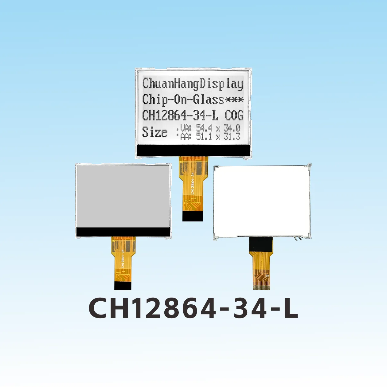 CH12864-34- L
