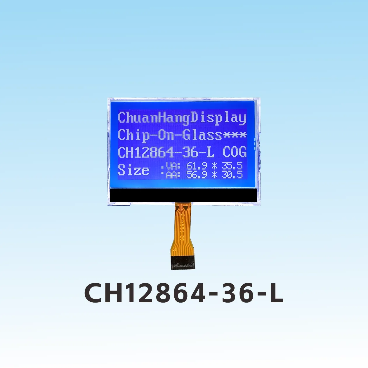 CH12864-36- L