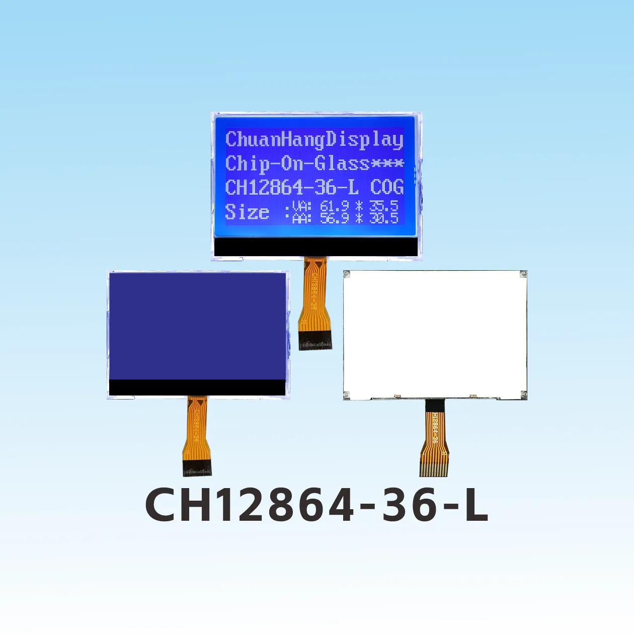 CH12864-36- L