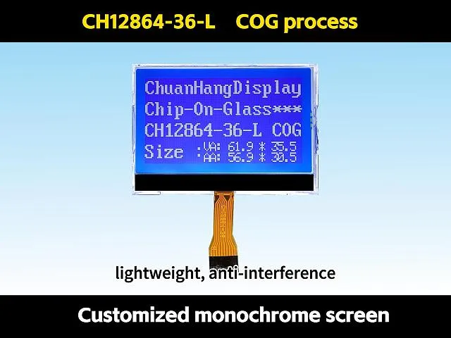 CH12864-36- L