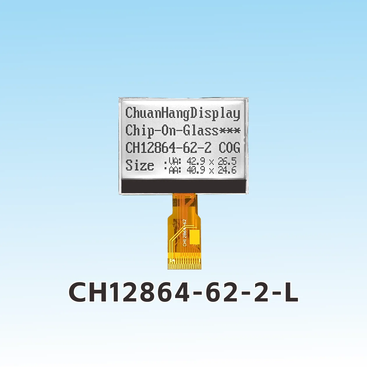 CH12864-62-2- L Schwei&szlig; 128x64 Punkt COG