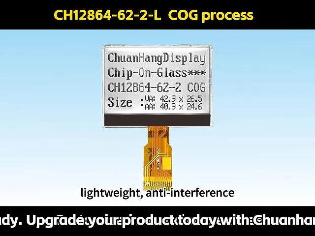 CH12864-62-2- L Schwei&szlig; 128x64 Punkt COG