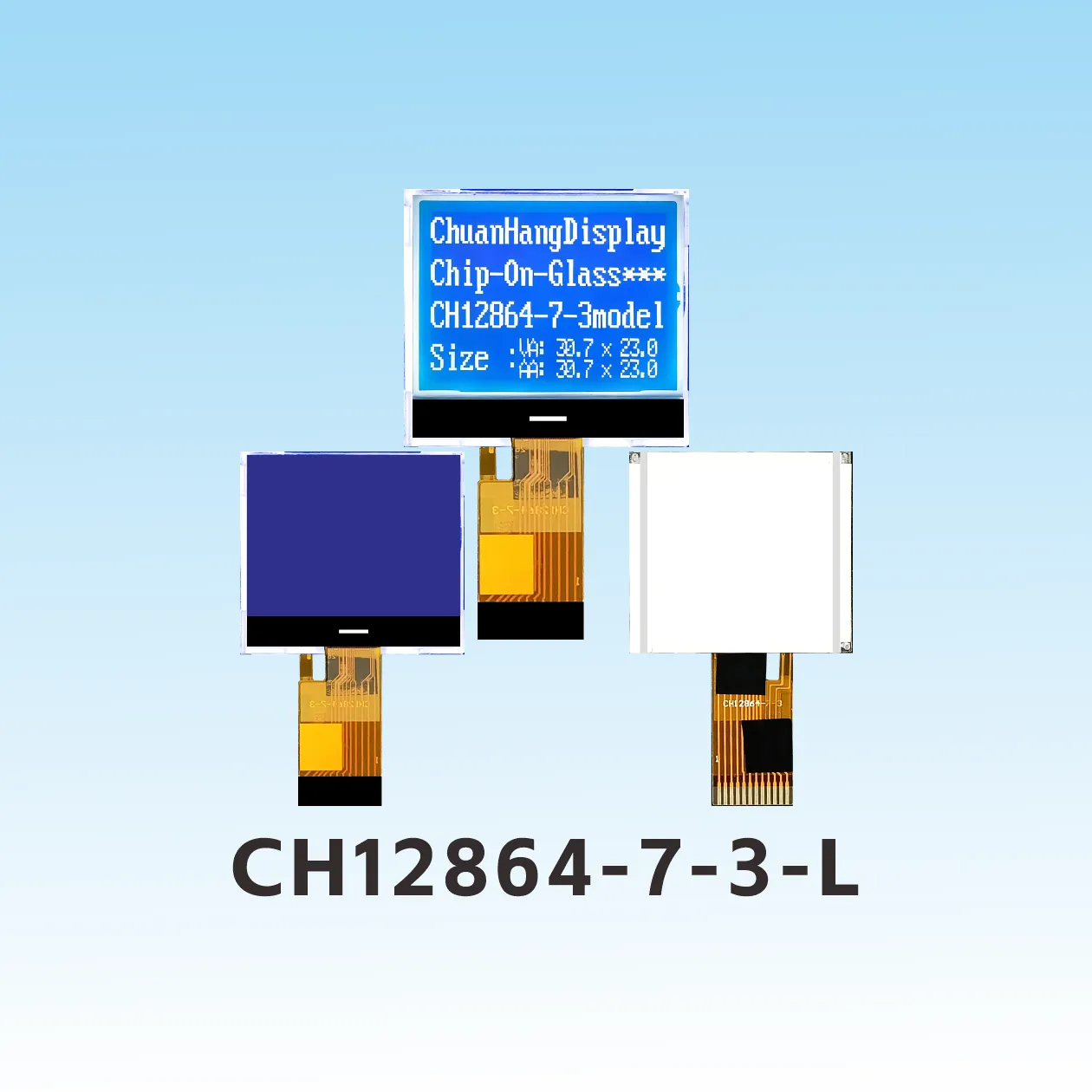 CH12864-7-3-L china 12864 cog lcd