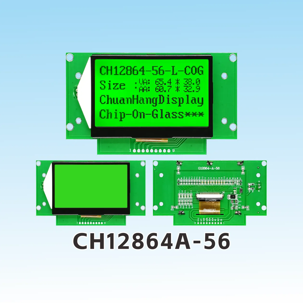 CH12864A-56