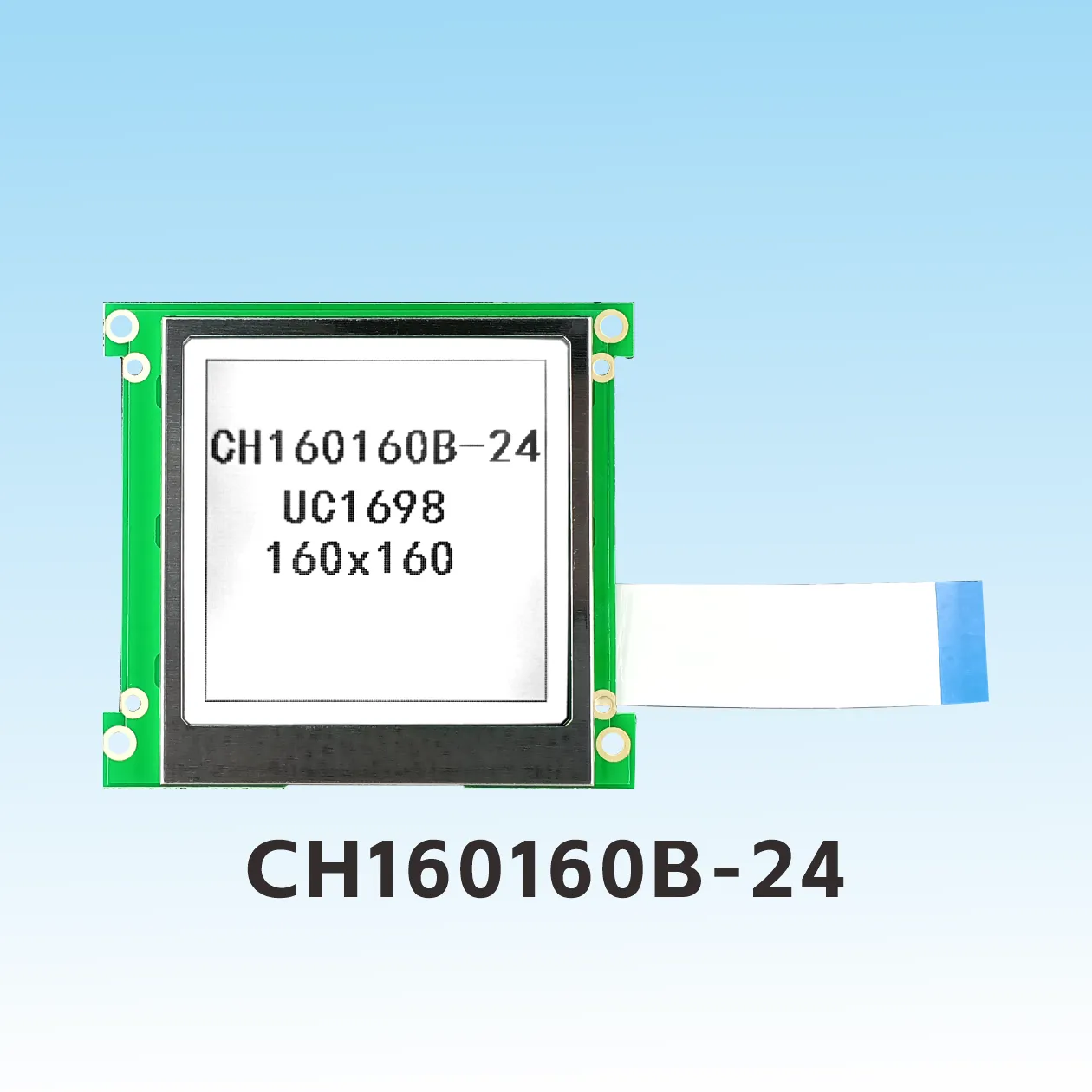 CH160160B-24 M&oacute;dulo de Pantalla LCD COG
