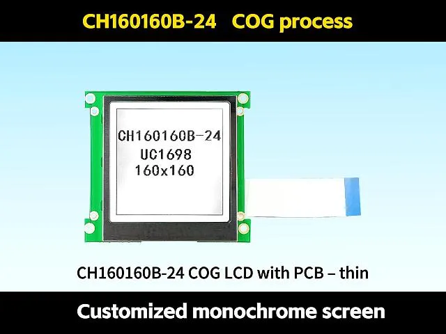 CH160160B-24 M&oacute;dulo de Pantalla LCD COG