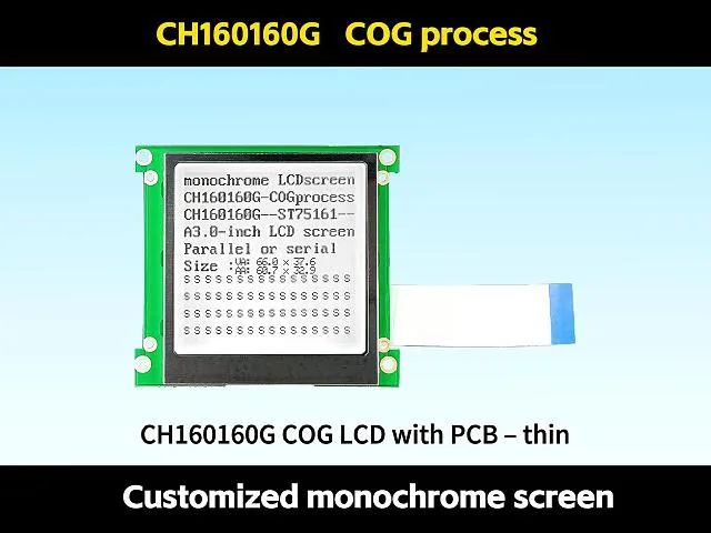 Module graphique CH160160G 160x160