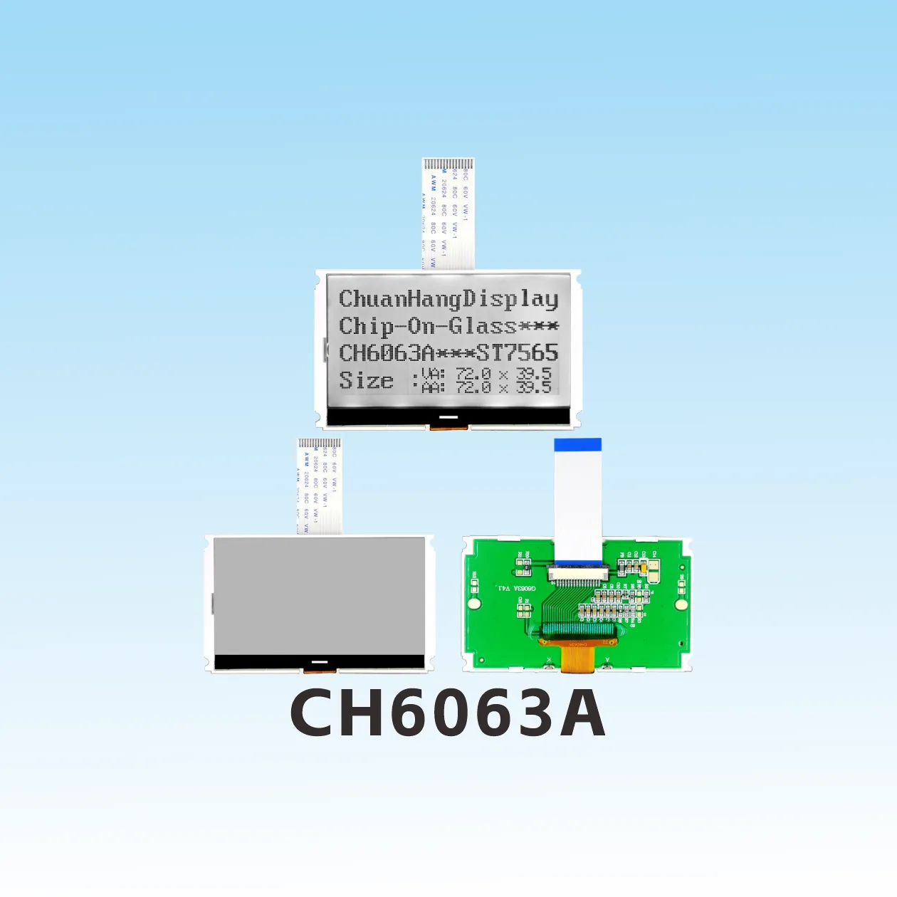 CH6063A   Modules LCD COG Concurrent