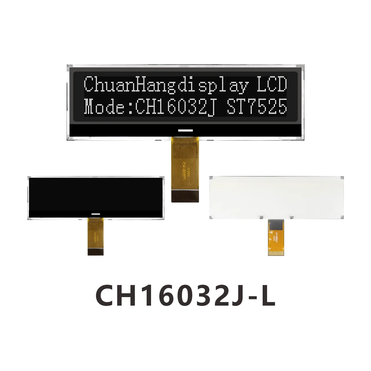 CH16032J-L Caract&egrave;res Matrice de Points LCD