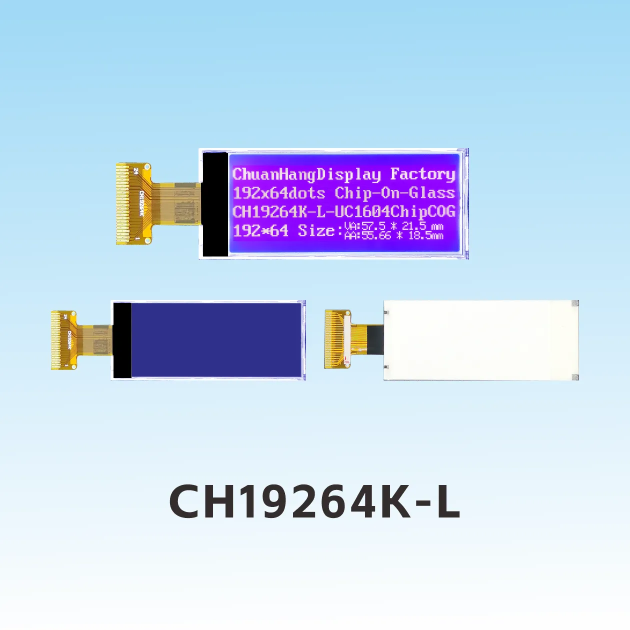 CH19264K-L 192x64 LCD Grafik
