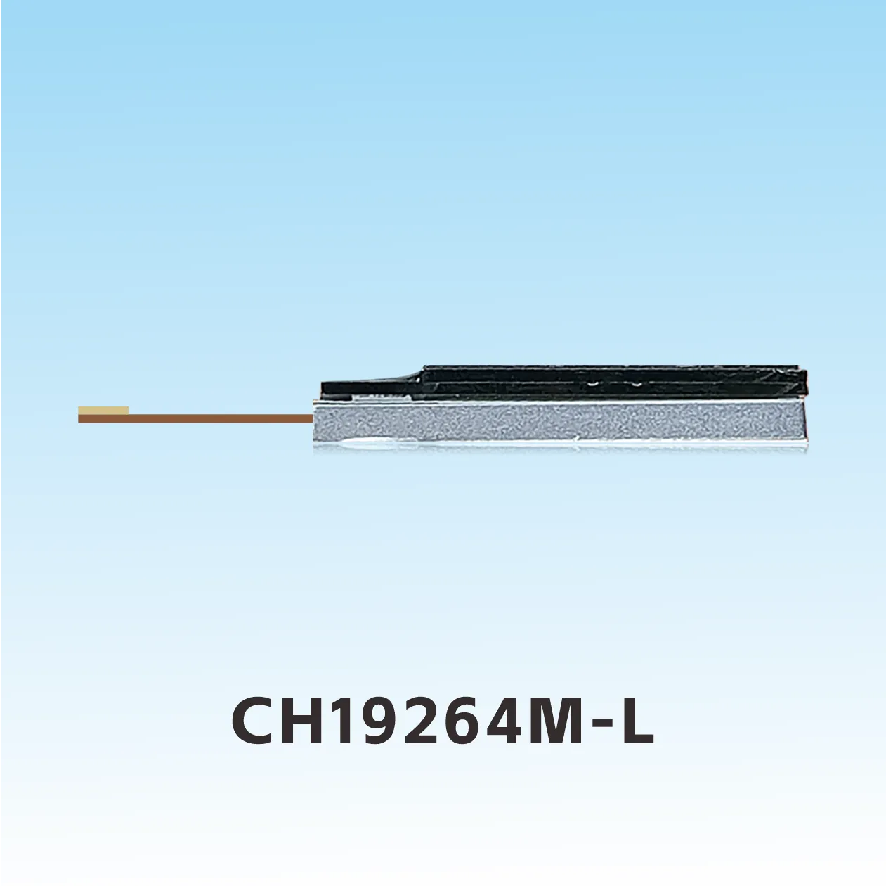 CH19264M-L 192x64 Fl&uuml;ssigkristallanzeige