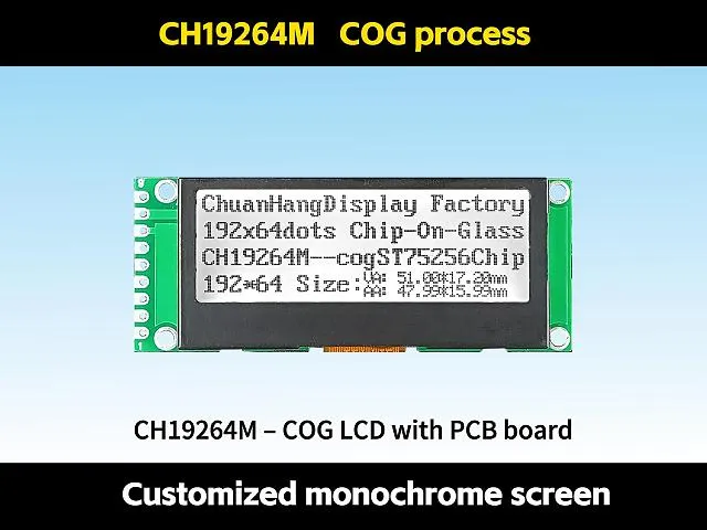 CH19264M 192x64 Module LCD COG