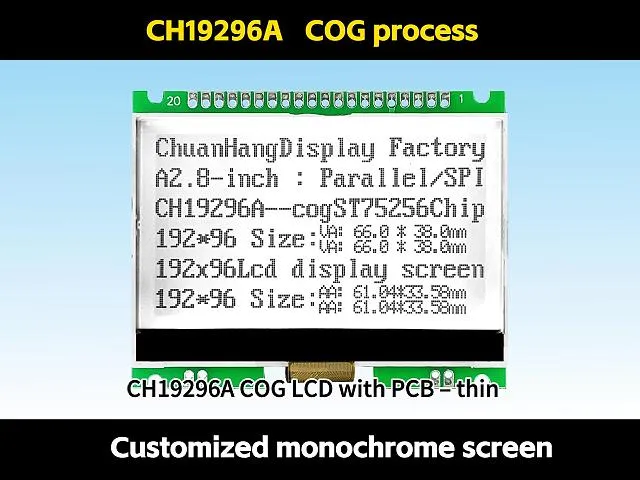 CH19296A Grafik-LCD-Displaymodul