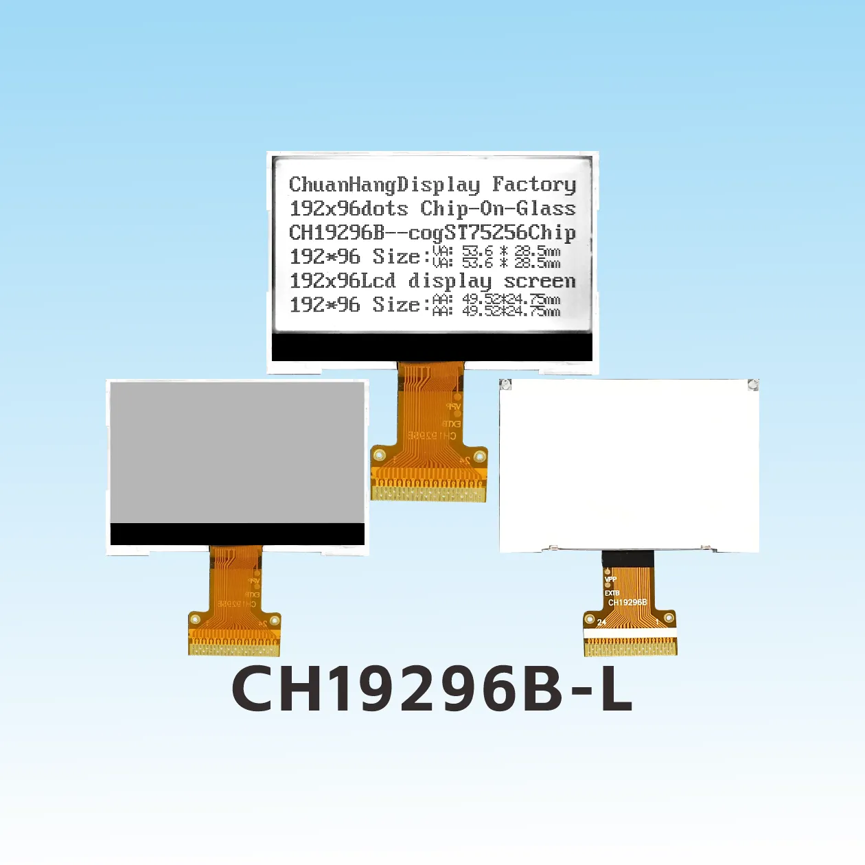 CH19296B-L 192x96 Pantalla LCD COG