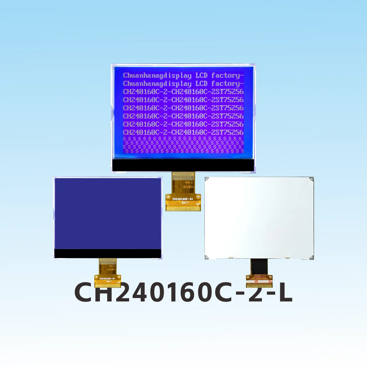 CH240160C-2-L