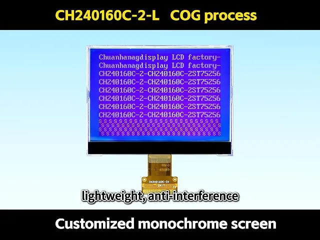 CH240160C-2-L