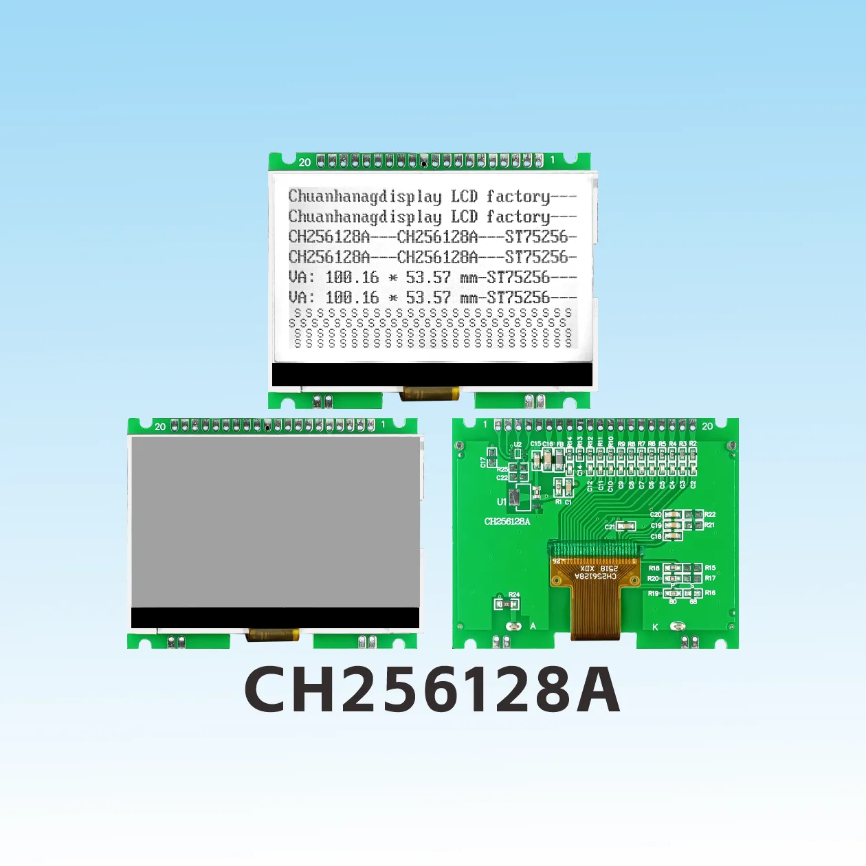 CH256128A    256x125 LCD