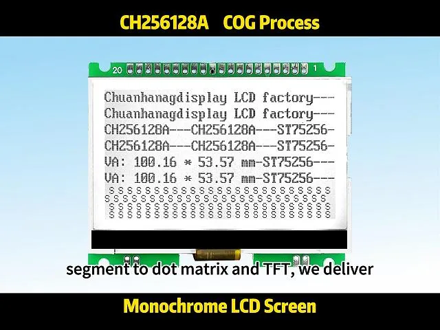 CH256128A    256x125 LCD