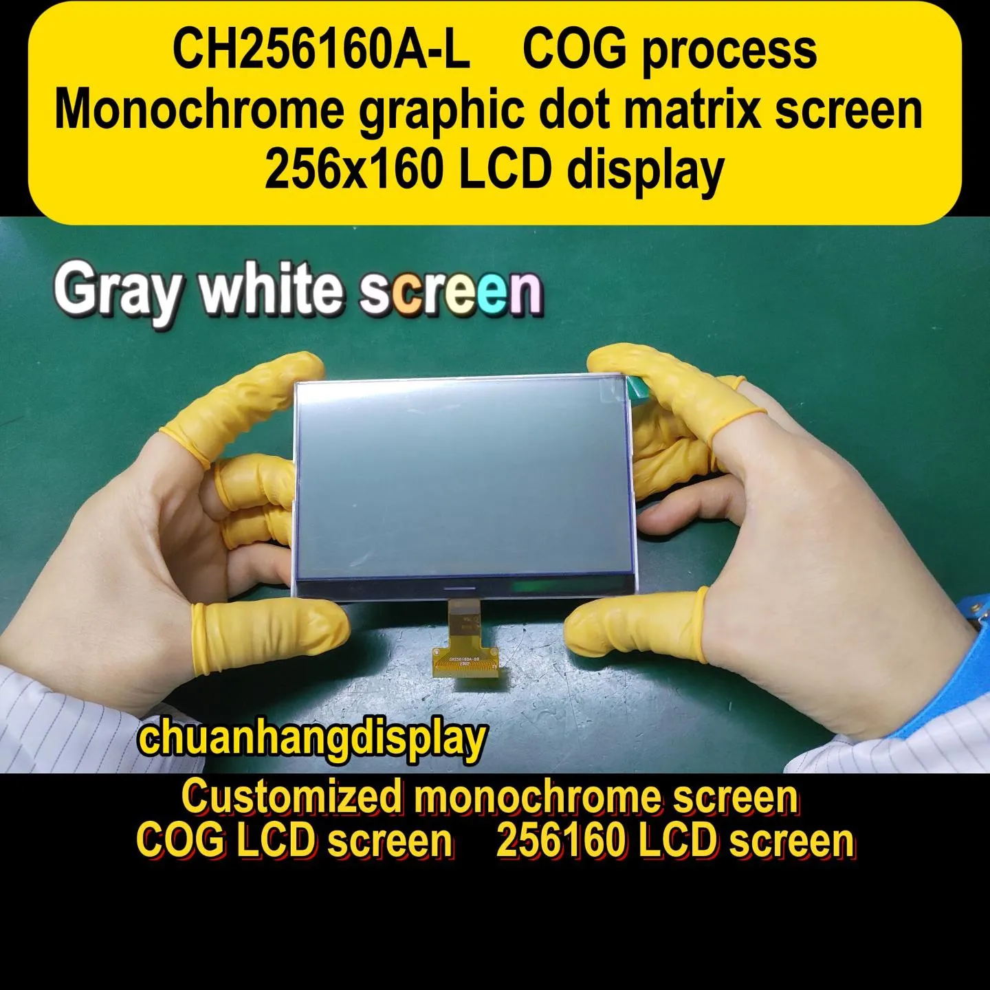 CH256160A-L