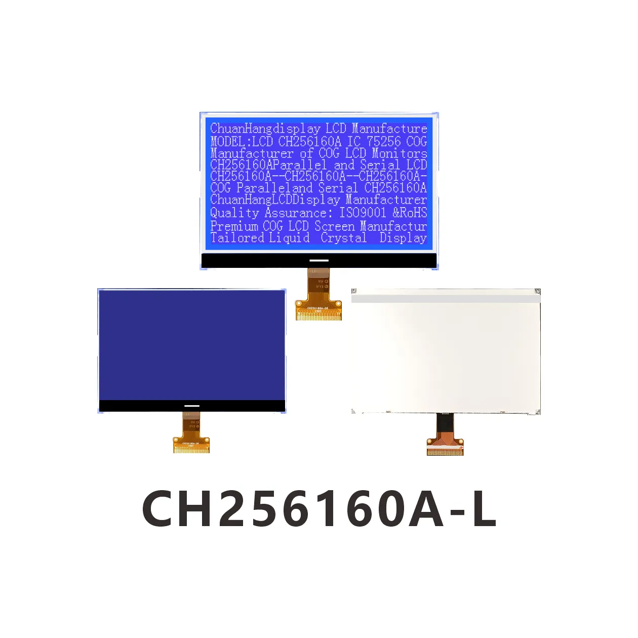 CH256160A-L