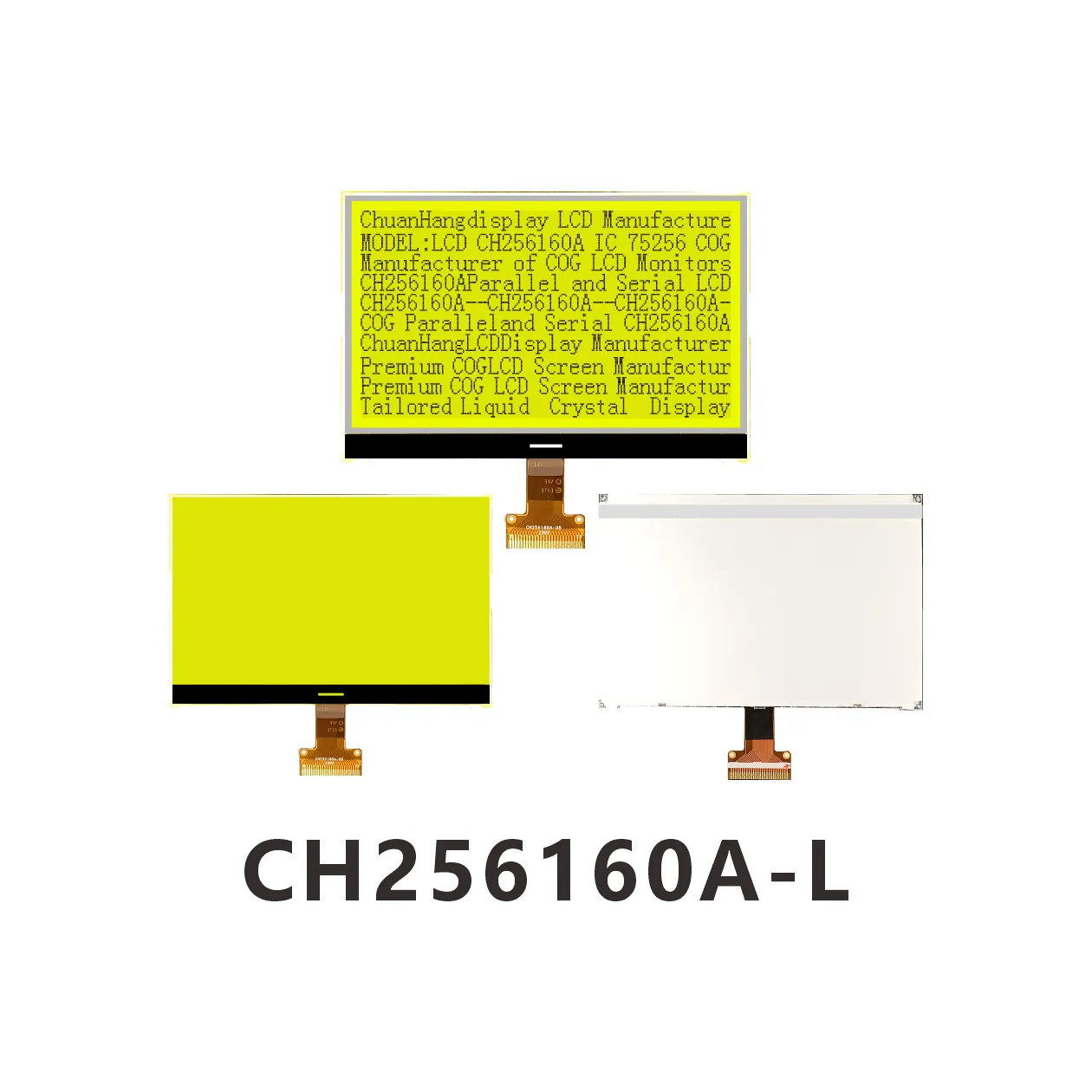 CH256160A-L