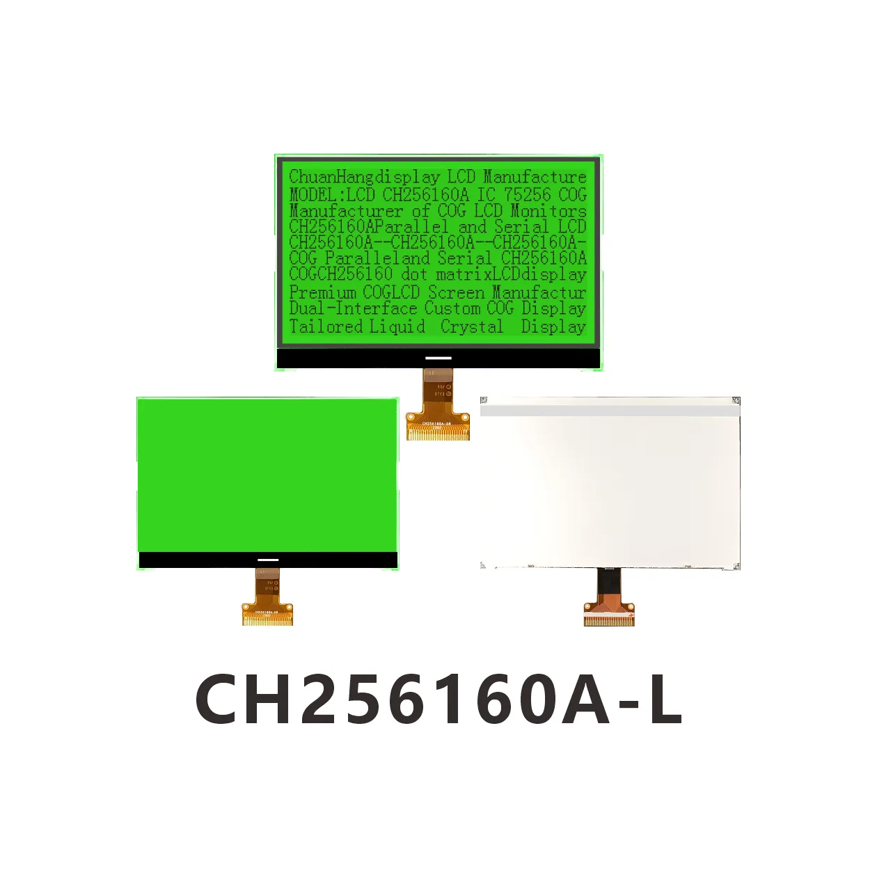 CH256160A-L