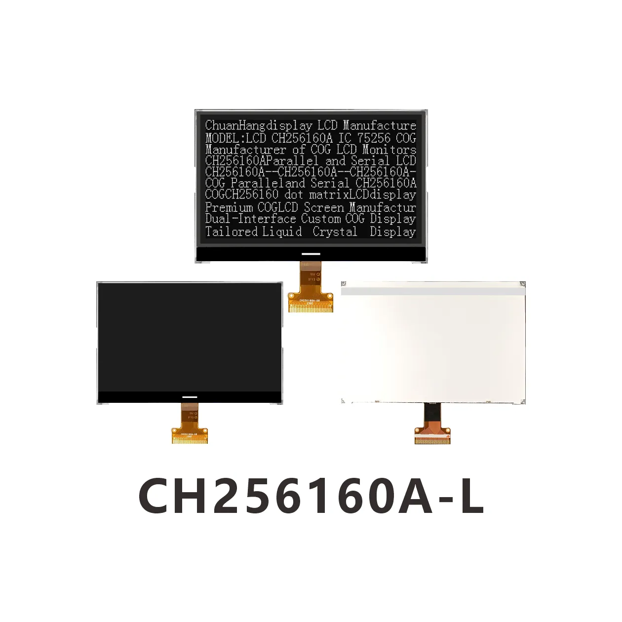 CH256160A-L