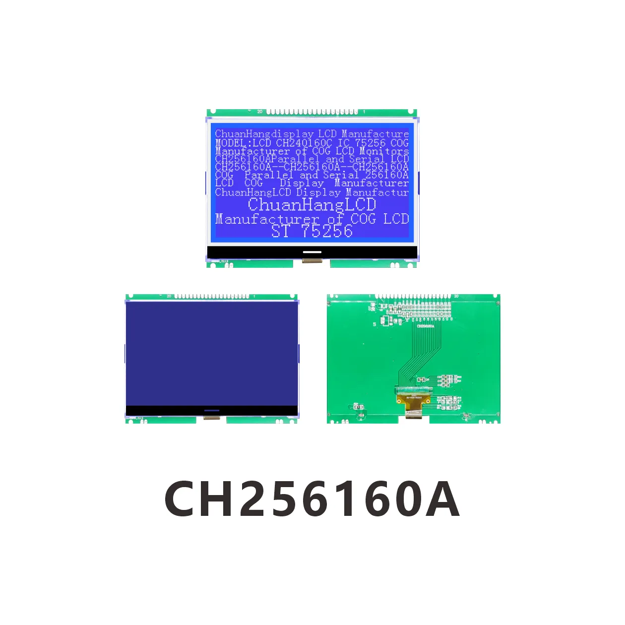 CH256160A